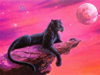 /album/galleria-fotografica/panera-nera-1-jpg/